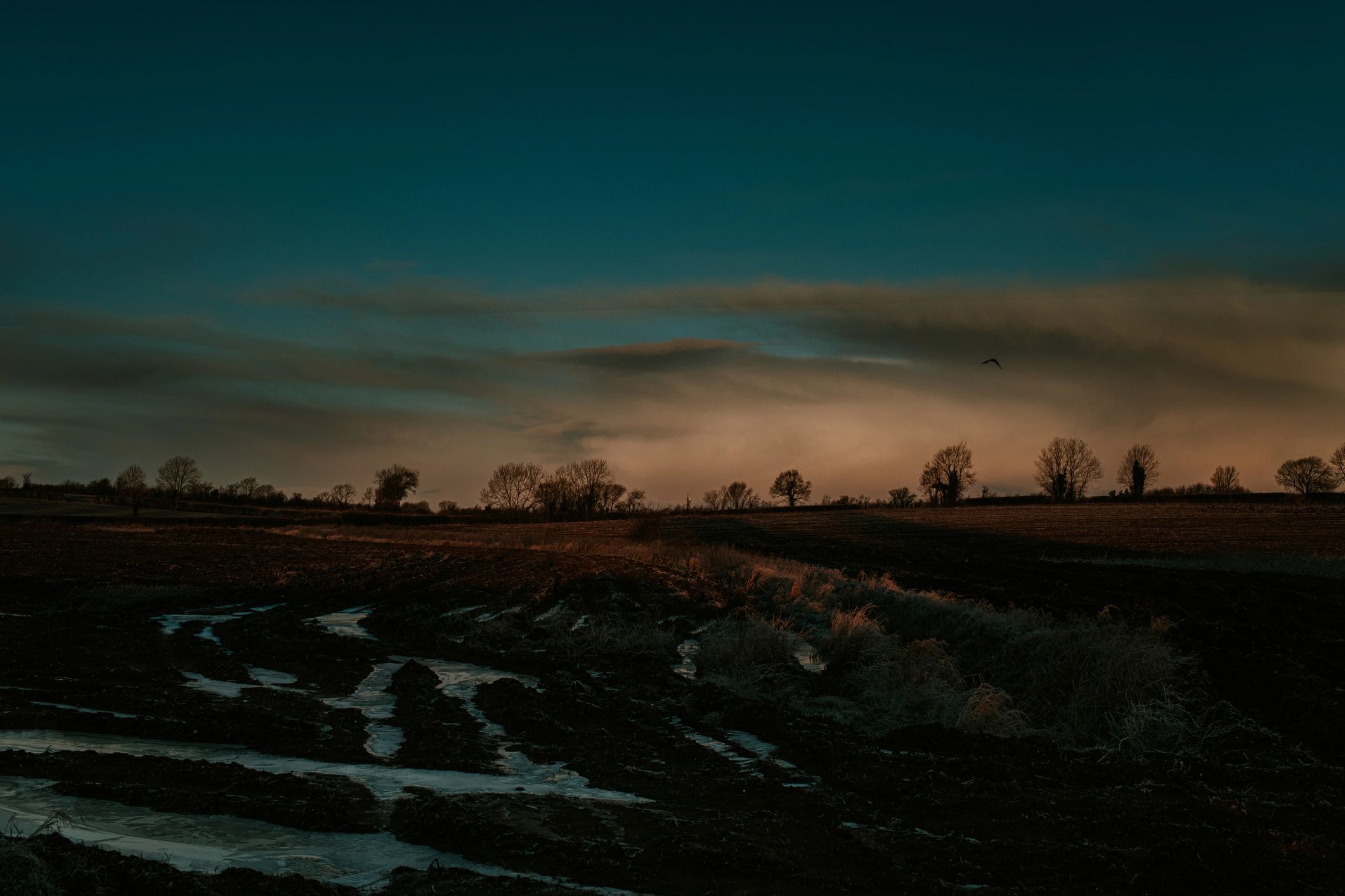 Soft sunrise over a quiet field, peaceful landscape.